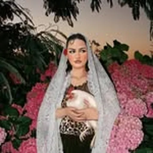 @anzelaabbasi profile image
