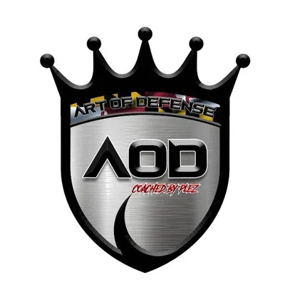 @aodtheartofdefense profile image