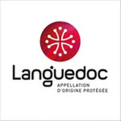 @aoplanguedoc profile image