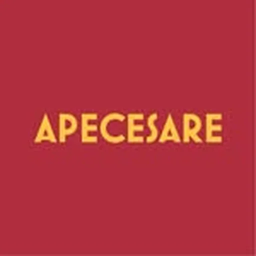 @apecesare profile image