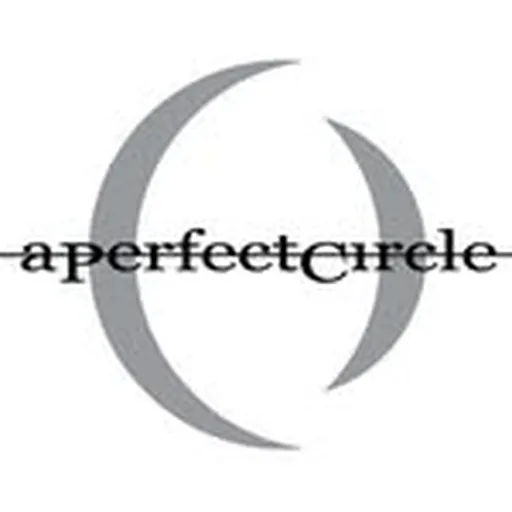 @aperfectcircle profile image
