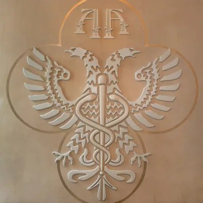 @apothekenomad profile image
