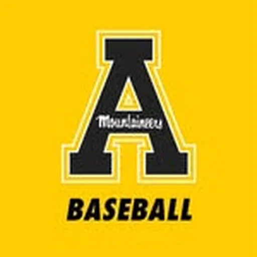 @appbaseball profile image