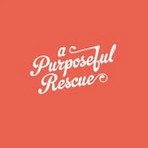 @apurposefulrescue profile image