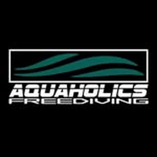 @aquaholicsfreediving_ profile image