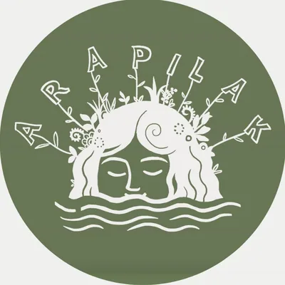@arapilak profile image