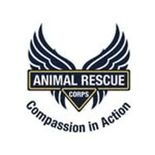 @arcorps profile image