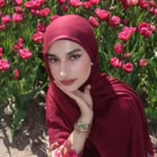 @arianaelahi profile image