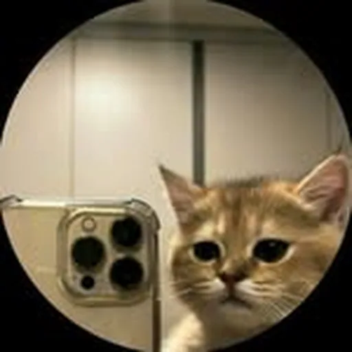 @arikytsya profile image