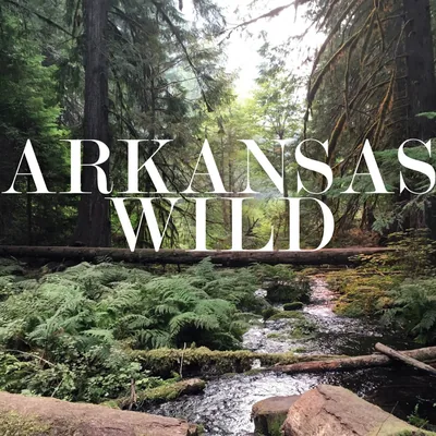 @arkansaswild profile image