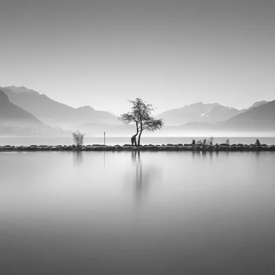 @arnaud_bathiard_photography profile image