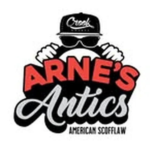 @arnesantics profile image