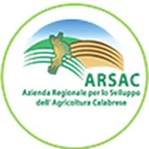 @arsacweb profile image