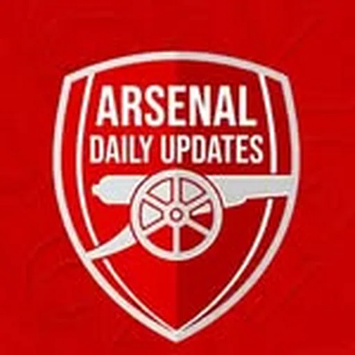 @arsenal_daily_updates24 profile image