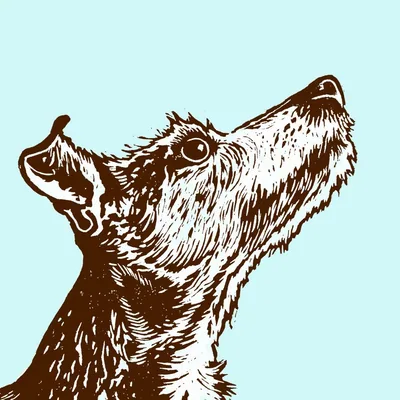 @artylisab profile image