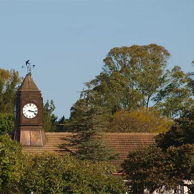 @arundelschoolzw profile image