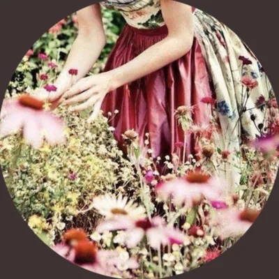 @arwa_alomrani profile image