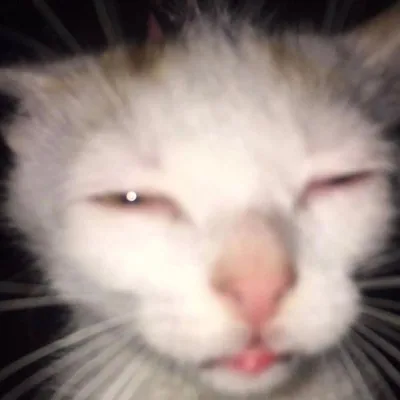 @asia.lxz profile image