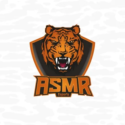 @asmrclan profile image