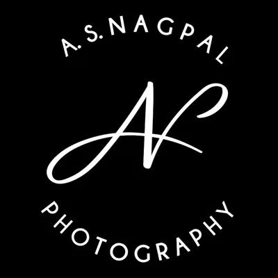 @asnagpal_photography profile image