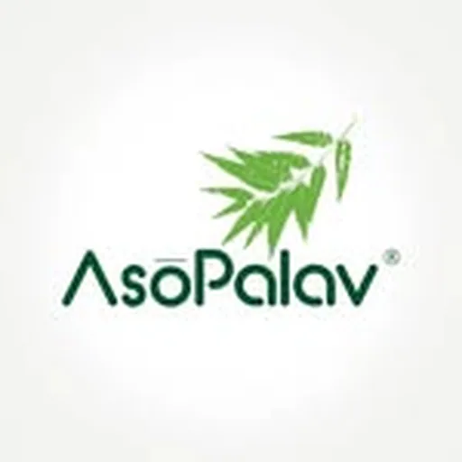 @asopalav profile image
