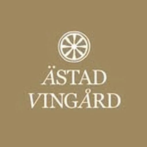 @astadvingard profile image