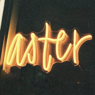 @aster.malmo profile image