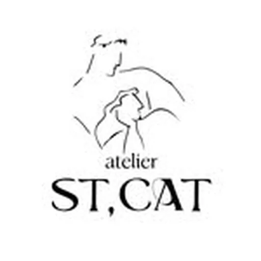 @atelierstcat profile image