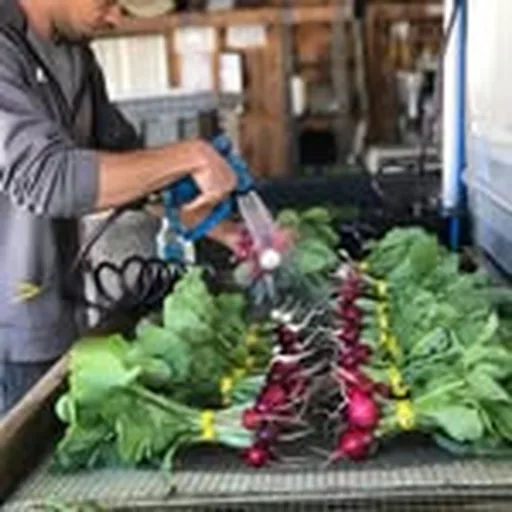 @atgfarm profile image