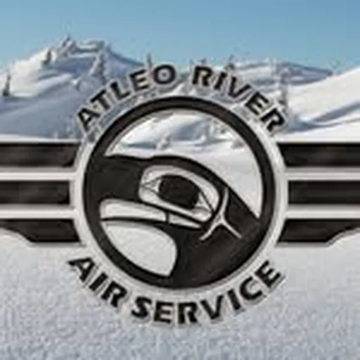 @atleoair profile image