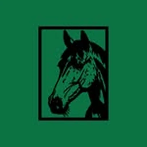 @atutowy profile image