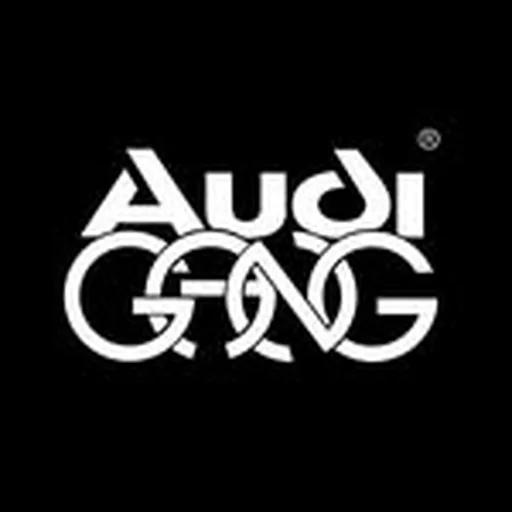 @audigang.fr profile image