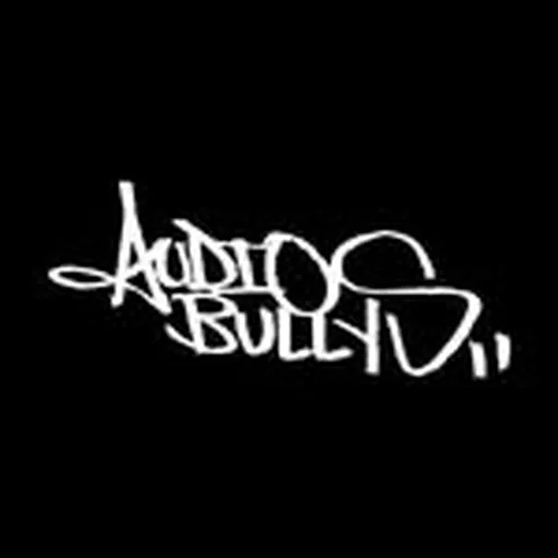 @audiobullys profile image