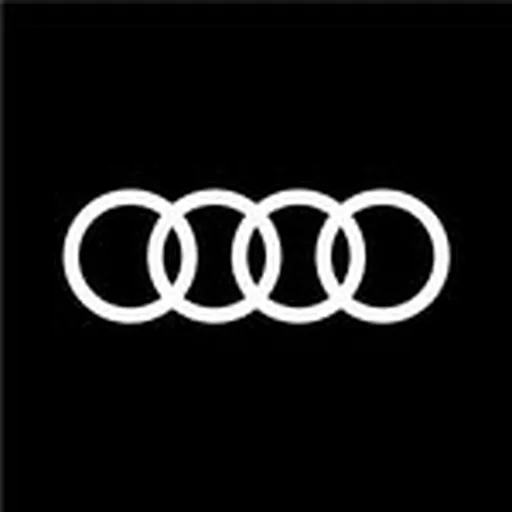 @audispain profile image