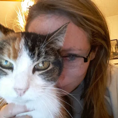 @austinkittenmafia profile image