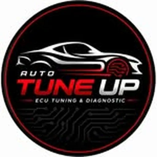 @auto_tuneup profile image