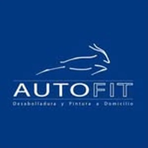 @autofit.cl profile image