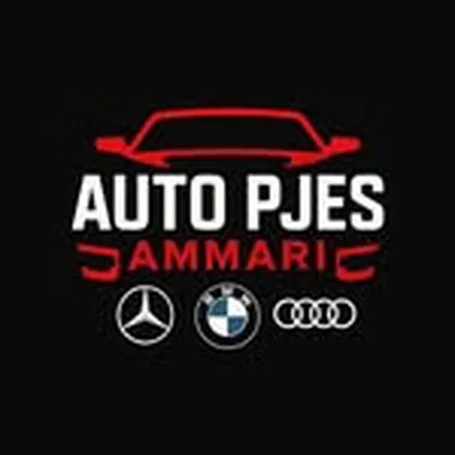 @autopjes.ammari profile image
