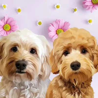 @autumn_thegoldie profile image