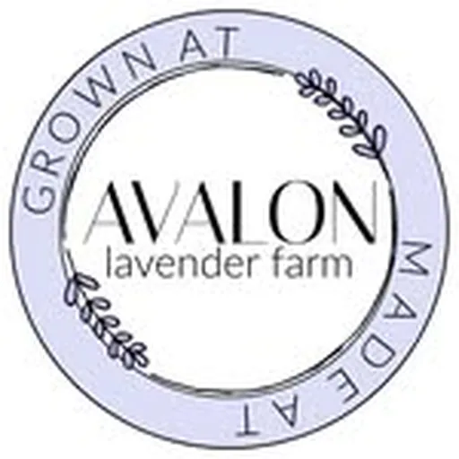 @avalonlavender profile image