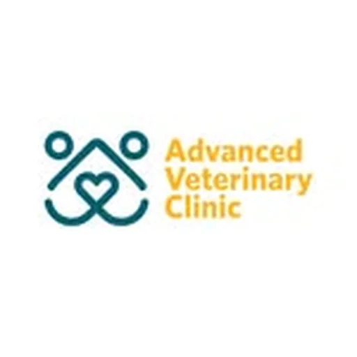 @avc_bh profile image