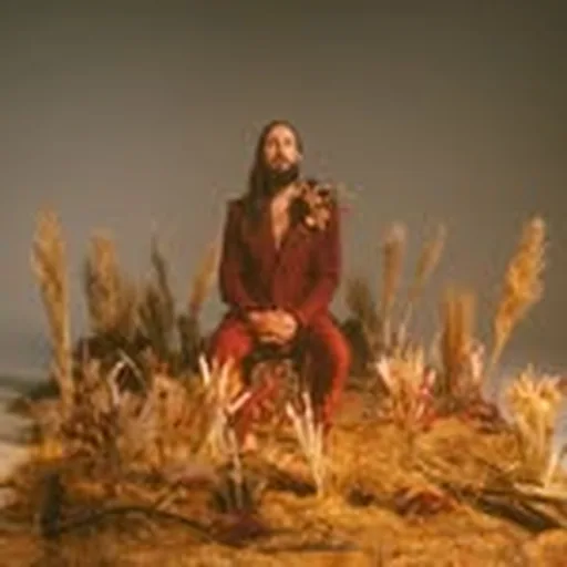 @avi_kaplan profile image