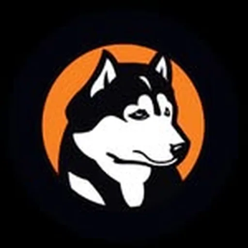@aviataircraft profile image