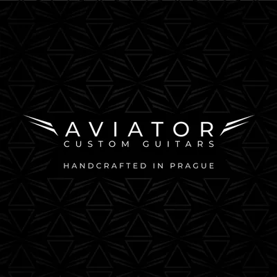 @aviatorguitars profile image