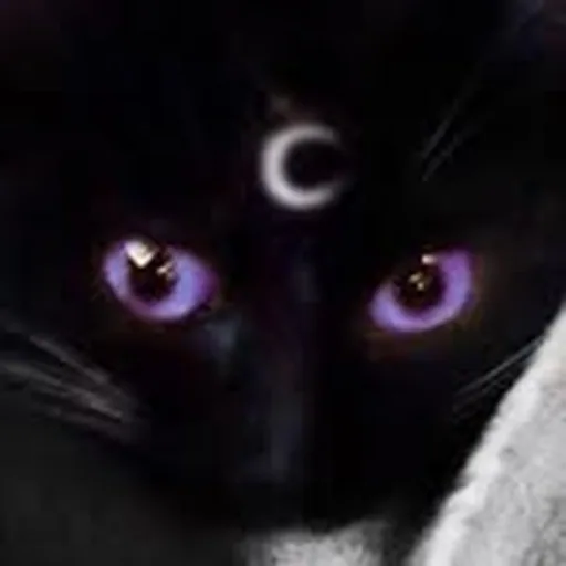 @avsthxticx profile image