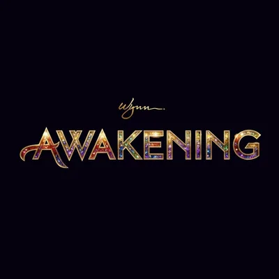 @awakening.wynn profile image