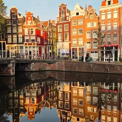 @awesome.amsterdam profile image