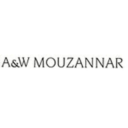 @awmouzannar profile image