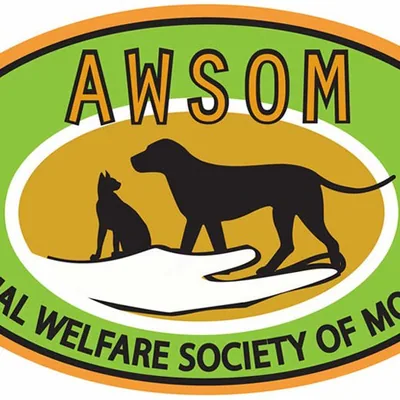 @awsom_animal_shelter profile image