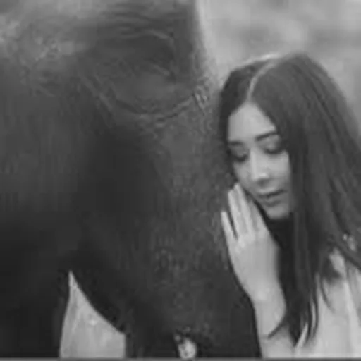 @ayusarasw profile image